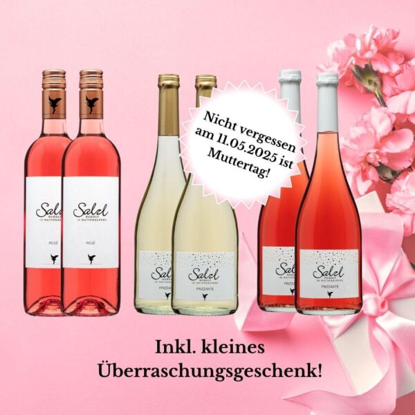 1x Grüner Veltliner Messwein 2023, 1x Muskat² 2024, 1x Sauvignon Blanc Homok 2024, 1x Zweigelt Rosé 2024, 1x Zweigelt Classic 2023, 1x Panta Rhei 2021