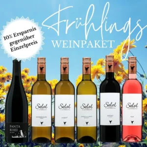 Frühlingshaftes Promobild des Frühlings-Weinpakets vom Weingut Salzl. Darauf sind die 6 im Paket enthaltenen Weinflaschen zu sehen. 1x Grüner Veltliner Messwein 2023, 1x Muskat² 2024, 1x Sauvignon Blanc Homok 2024, 1x Zweigelt Rosé 2024, 1x Zweigelt Classic 2023, 1x Panta Rhei 2021