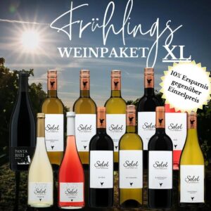 Promobild des Frühlings-Weinpakets XL vom Weingut Salzl. Darauf sind die 12 im Paket enthaltenen Weinflaschen zu sehen. 1x Grüner Veltliner Messwein 2023, 1x Muskat² 2024, 1x Sauvignon Blanc Homok 2024, 1x Zweigelt Rosé 2024, 1x Zweigelt Classic 2023, 1x Panta Rhei 2021, 1x Frizzante 2023, 1x Frizzante Rosé 2023, 1x Four Seasons 2024, 1x Chardonnay Horvath 2023, 1x Blaufränkisch – Seensucht 2022, 1x Baptême 2022