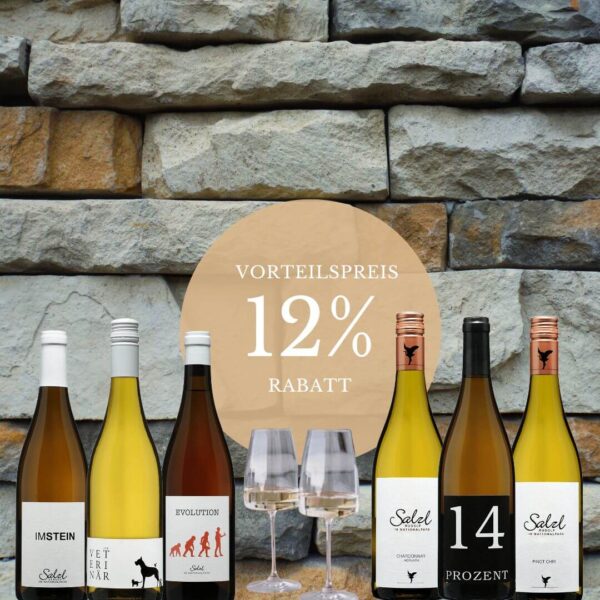 Produktbild des KRÄFTIG & NATURAL Weinpakets vom Weingut Rudi Salzl.